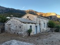 Gallery_thumb_________________1